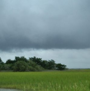 Meet your Posher, Robin